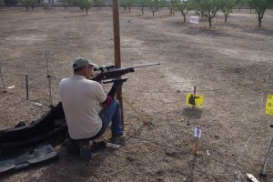 torro tirando tarrega
